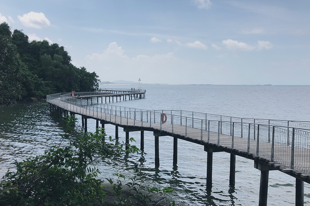 Pulau Ubin Island Life Walk/Bike Adventure