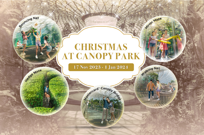 Canopy Park Year-end Promotion