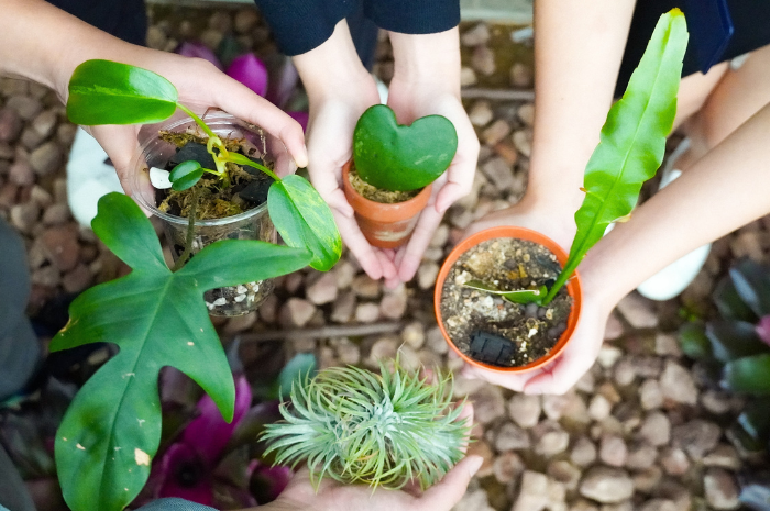 Christmas Display, Festive Lights at Jewel Changi Airport Singapore