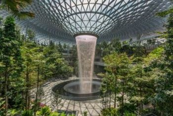 Shiseido Forest Valley at Jewel Changi Airport for Christmas Events Singapore