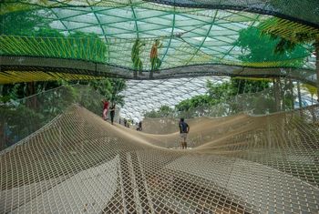 Guide to Jewel Changi Airport: All the best things to do